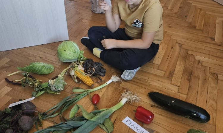 Owoc czy warzywo? Oto jest pytanie...