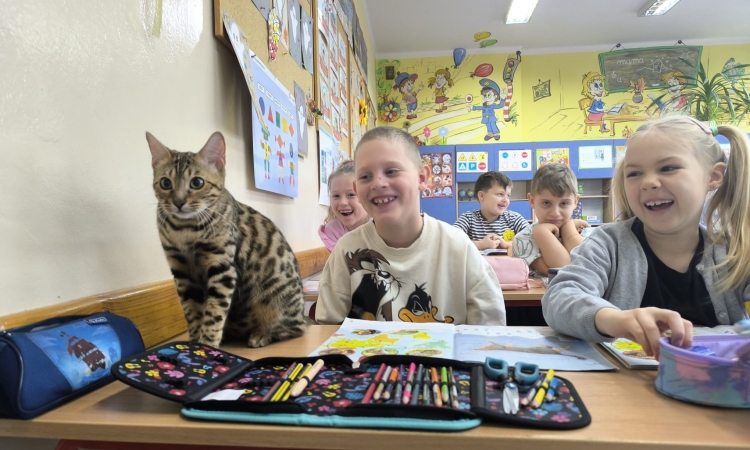 Uczniowie klasy 1a omówili lekturę „Cukierku, Ty łobuzie!”