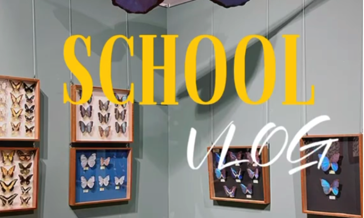 4b spędziła dzień pełen aktywności wychowawczo-edukacyjnych