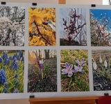 Podsumowanie Międzyszkolnego Konkursu Fotograficznego „Pierwsze Zwiastuny Wiosny”
