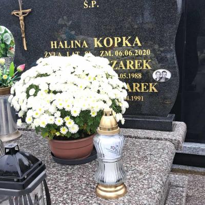 9d3526af 9569 4288 A65a F66df8b5d0b5