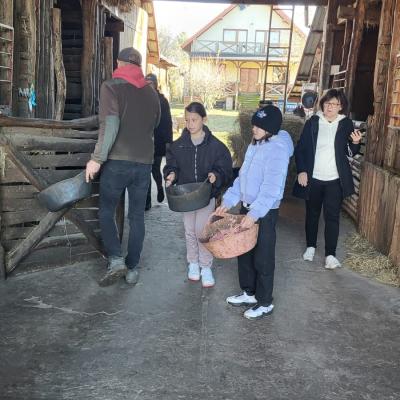 Fc99b316 Fc42 41c3 A73d 0e9bc71caaf1