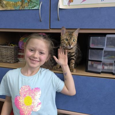 0390ac58 7170 45a2 8c81 Badbfef9dd78