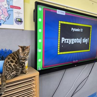 22aa47b6 5fbb 4836 B4a3 5bd7e98f5415