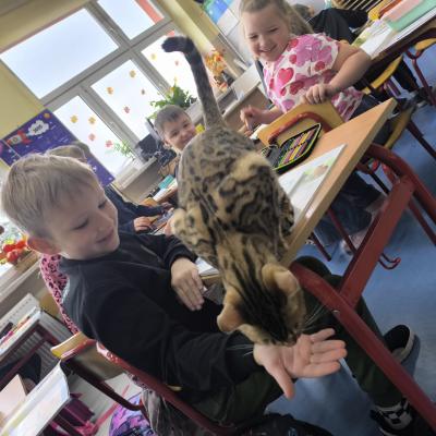 3792190e 34cf 44cd B132 Bab6c04a1dce