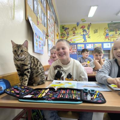 3eaeb2d4 C642 457f 95f3 B5593b11a4d9