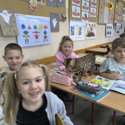 916468cc 90e4 4da0 Ab6a 32b0ffd91a17