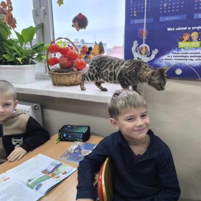 Ef9aff8d 8f08 4fdb 8243 816e817f053a