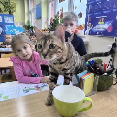 F13feab3 Ac02 4f17 9b2c A0bdedecbb9b