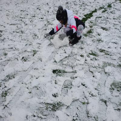 24248d4d F228 4e09 Aba7 D29d5c72feae