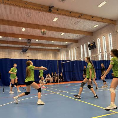 D8ad15c6 Ddb4 4e56 Bbe7 Dd5591c78a68