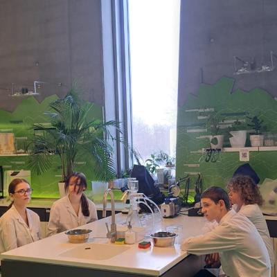 088a445a 1347 44cc A999 D7d1d7ef0884