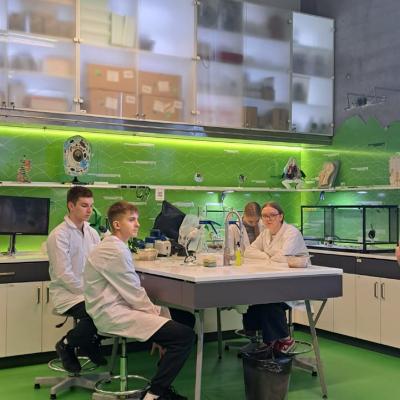 871e41de 2609 4da2 8335 C3674b2b7f53