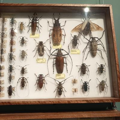 4d7a0485 Bcf3 4fd2 B341 350dda06dbd3