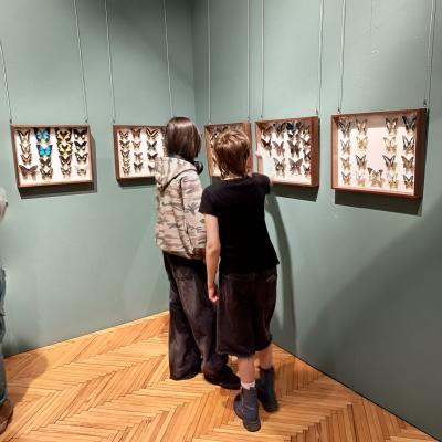 737f3ee3 828e 424b Ae31 93e743629a31