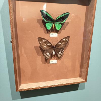 A3f07048 141b 4321 967e 8777fe7c5269