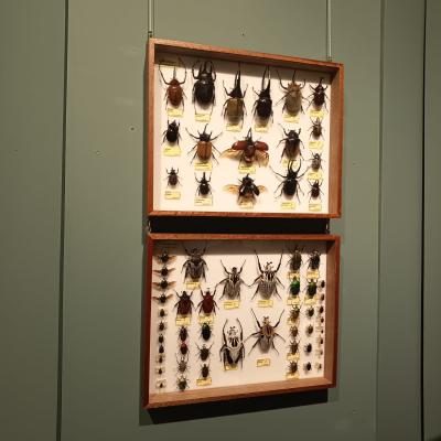 Ae446a6b D04f 408a Ab70 28226a11916b