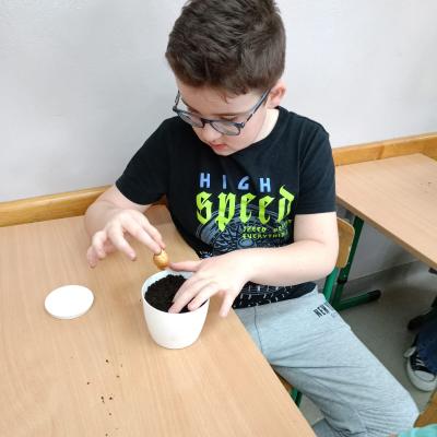 41450b5b 846b 453f Bab6 5a6521874e55