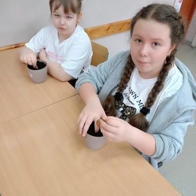 88d0ec20 A528 4500 A7d8 20e49eb3c9de