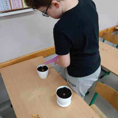 Afcd1035 3b3e 4a40 8c7e B7ceced1c327