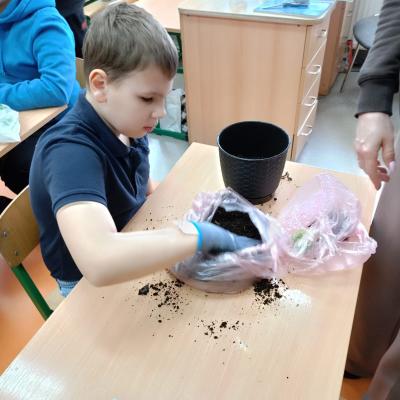 Ecb0e877 Dcf9 4475 B321 Ac7d07d24247