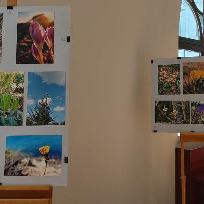 674532562 1559382992854539 5715170390174181738 N