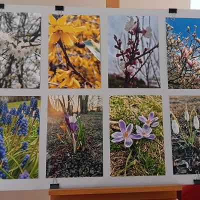 678320527 1559383046187867 3251456507615487873 N